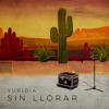 Sin Llorar - Single, 2023