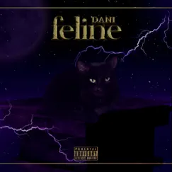 Feline by DANI album reviews, ratings, credits