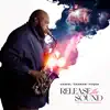 Release the Sound (feat. LaRue Howard) - Single album lyrics, reviews, download