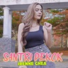 Santri Pekok - Single