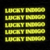 Lucky Indigo - Single