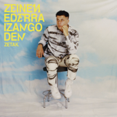 Zeinen Ederra Izango Den - ZETAK