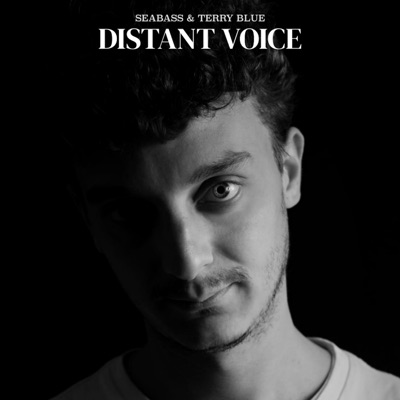 Distant Voice - seabass, Terry Blue