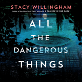 All the Dangerous Things - Stacy Willingham