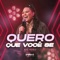 Quero Que Você Se (Ao vivo) artwork