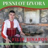 Pesni ot izvora (Песни от извора)