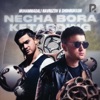 Necha Bora Ketarding - Single
