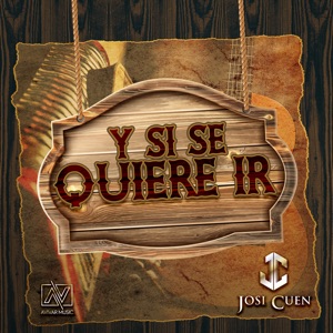 Y Si Se Quiere Ir - Single