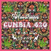 Cumbia 420 artwork