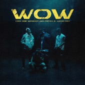 WOW (feat. Obie Wanshot) artwork