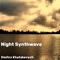 Night Synthwave artwork