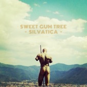 Sweet Gum Tree - Oceania