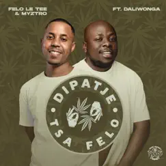 Dipatje Tsa Felo (feat. Daliwonga) - Single by Felo Le Tee & Myztro album reviews, ratings, credits