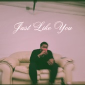 Just Like You artwork