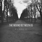 The Wound Between Us artwork