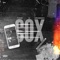COX (feat. Goldbach) - TNS lyrics