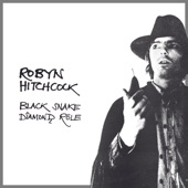 Robyn Hitchcock - The Man Who Invented Himself