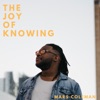 The Joy of Knowing - Single