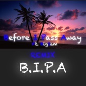 B.I.P.A (Remix) artwork