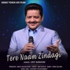 Tere Naam Zindagi - Single