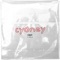 Cydney (feat. Kdence) - Vayu lyrics
