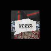 Guarda come flexo (feat. Edo Fendy) artwork