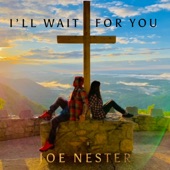 I'll Wait For You artwork