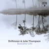 Beautiful Life - Single