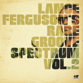 Rare Groove Spectrum, Vol. 2