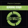 Burning Down (Peverell Remix) - Single album lyrics, reviews, download