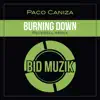 Stream & download Burning Down (Peverell Remix) - Single