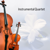 Instrumental Quartet - Violins, Violin Cello Zone & Violin Music