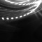 Southsea - Steven Weston lyrics