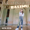 Tak Tunggu Balimu - Single