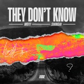 They Don't Know (with Shingai) artwork
