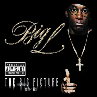 The Enemy (feat. Fat Joe) by Big L song reviws