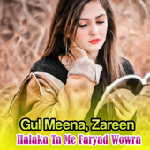 Halaka Ta Me Faryad Wowra - Gul Meena & Zareen