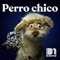 Perro Chico cover