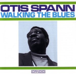 Walking the Blues (feat. St. Louis Jimmy & Robert Lockwood, Jr.)