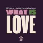 What Is Love (feat. Luigi Neighbours) artwork