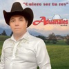 Quiero ser tu rey