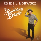 Chris J Norwood & The Knockdown Dragout - The Cheap Seats