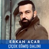 Çiçek Eğmiş Dalını - Single