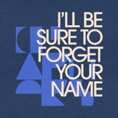 I'll Be Sure To Forget Your Name artwork