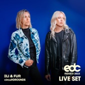 Eli & Fur at EDC Mexico 2023: Circuit Grounds Stage (DJ Mix) artwork