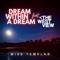 Dream Within a Dream (feat. The West View) - Mike Templar lyrics