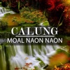 Calung Moal Naon Naon