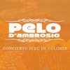 Concierto Perú de Colores (En vivo)
