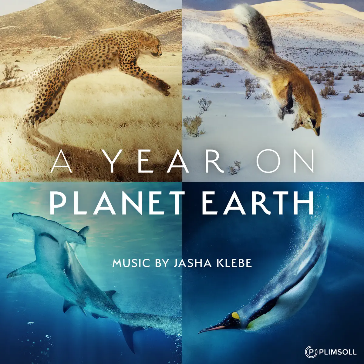 Jasha Klebe - 地球上的一年 A Year On Planet Earth (Original Television Soundtrack) (2023) [iTunes Plus AAC M4A]-新房子