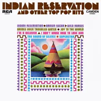 Indian Reservation and Other Top Pop Hits by Various Artists album reviews, ratings, credits